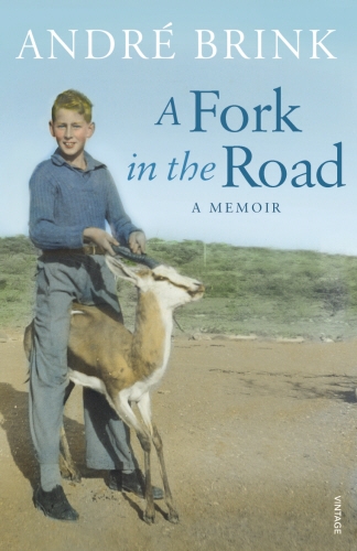 Book cover of A Fork in the Road by André Brink