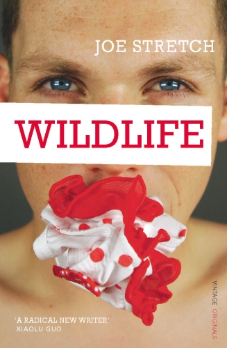 Book cover of Wildlife by Joe Stretch