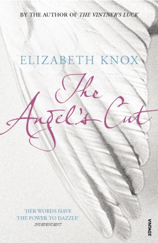 Book cover of The Angel's Cut by Elizabeth Knox