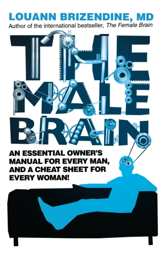 Book cover of The Male Brain by Louann Brizendine