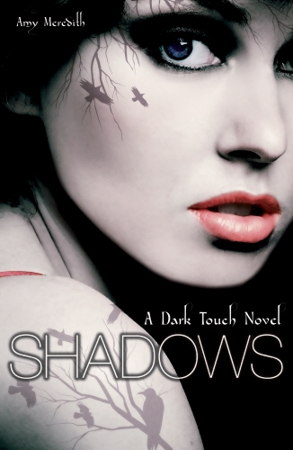 Book cover of Dark Touch: Shadows by Amy Meredith