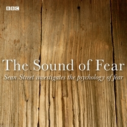 Book cover of The Sound Of Fear by Sean Street