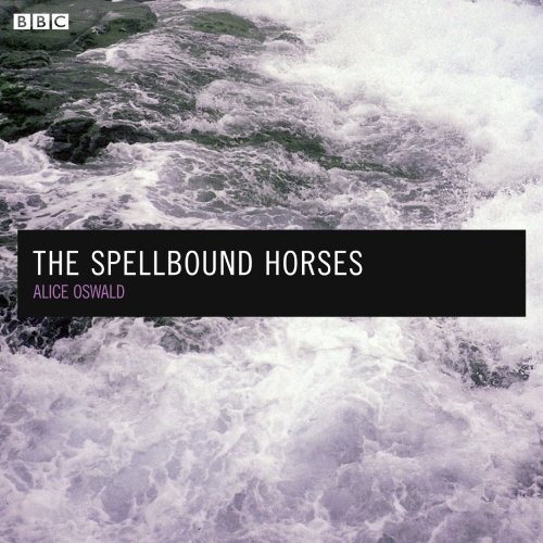 Book cover of The Spellbound Horses by Julia Blackburn