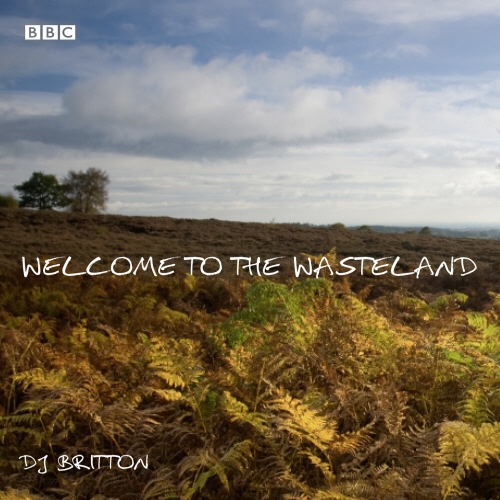 Book cover of Welcome To The Wasteland by DJ Britton