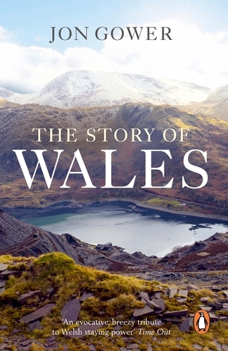 Book cover of The Story of Wales by Jon Gower
