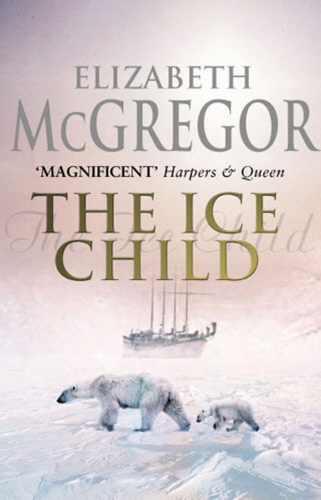 Book cover of The Ice Child by Elizabeth McGregor