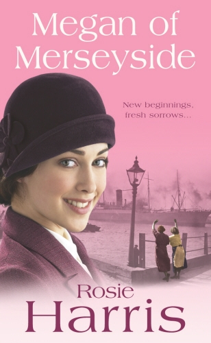 Book cover of Megan of Merseyside by Rosie Harris