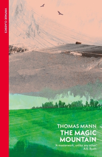 Book cover of The Magic Mountain by Thomas Mann