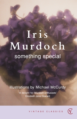 Book cover of Something Special by Iris Murdoch