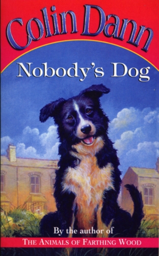 Book cover of Nobody's Dog by Colin Dann