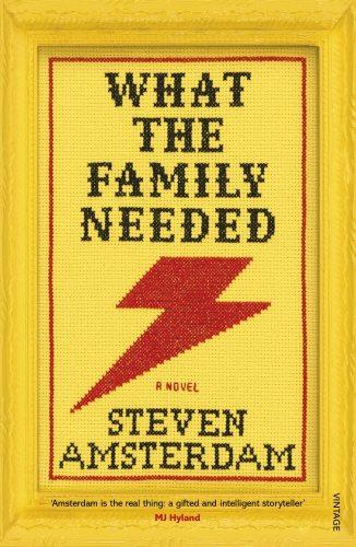 Book cover of What the Family Needed by Steven Amsterdam