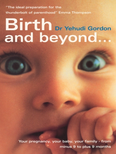 Book cover of Birth And Beyond by Yehudi Gordon