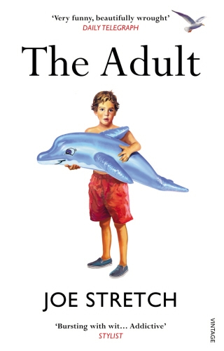 Book cover of The Adult by Joe Stretch