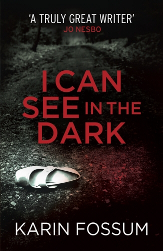 Book cover of I Can See in the Dark by Karin Fossum