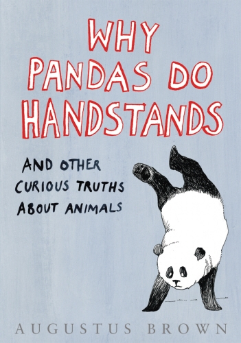 Book cover of Why Pandas Do Handstands... by Augustus Brown