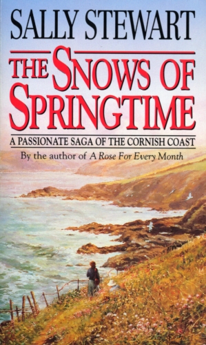 Book cover of The Snows Of Springtime by Sally Stewart