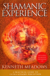 Book cover of Shamanic Experience by Kenneth Meadows