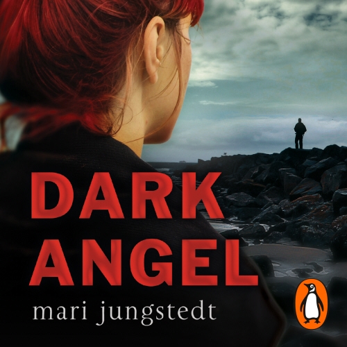 Book cover of Dark Angel by Mari Jungstedt