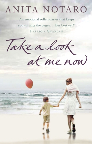 Book cover of Take A Look At Me Now by Anita Notaro