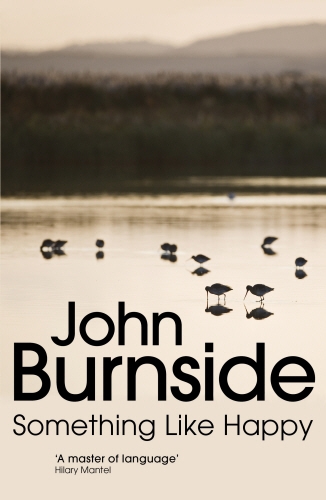 Book cover of Something Like Happy by John Burnside