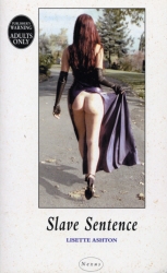 Book cover of Slave Sentence by Lisette Ashton