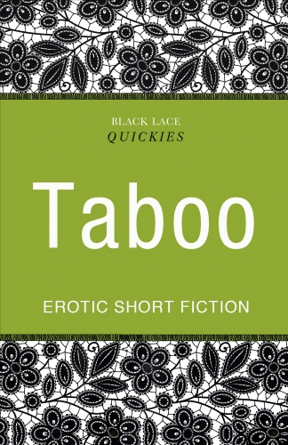 Book cover of Quickies: Taboo by Debra Hyde