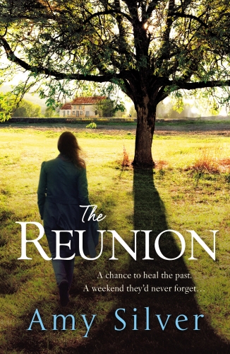 Book cover of The Reunion by Amy Silver