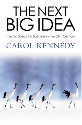 Book cover of The Next Big Idea by Carol Kennedy
