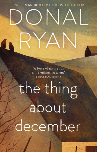 Book cover of The Thing About December by Donal Ryan
