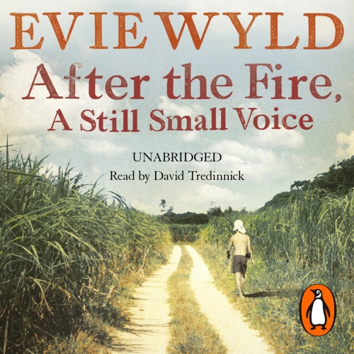 Book cover of After the Fire, A Still Small Voice by Evie Wyld