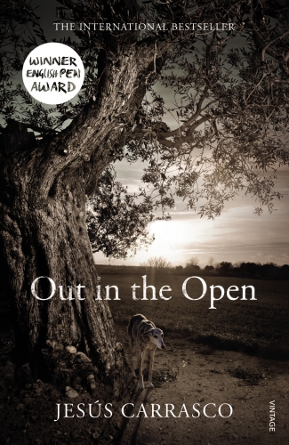 Book cover of Out in the Open by Jesús Carrasco