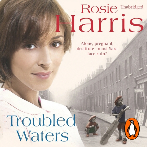 Book cover of Troubled Waters by Rosie Harris