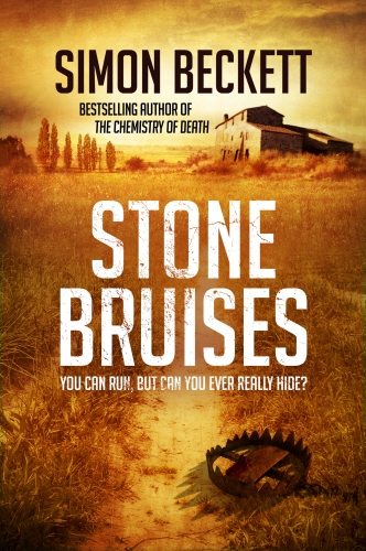 Book cover of Stone Bruises by Simon Beckett