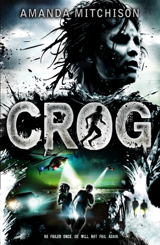 Book cover of Crog by Amanda Mitchison