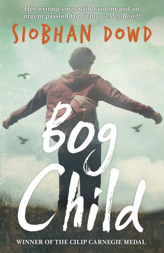 Book cover of Bog Child by Siobhan Dowd