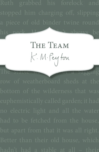 Book cover of The Team by K M Peyton