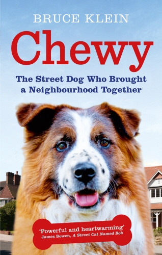 Book cover of Chewy by Bruce Klein