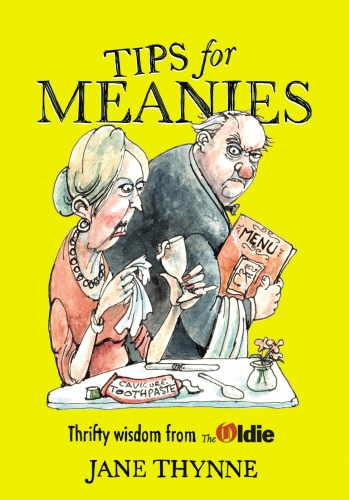 Book cover of Tips for Meanies by Jane Thynne