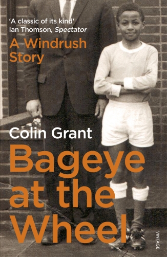 Book cover of Bageye at the Wheel by Colin Grant