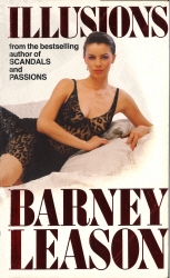 Book cover of Illusions by Barney Leason