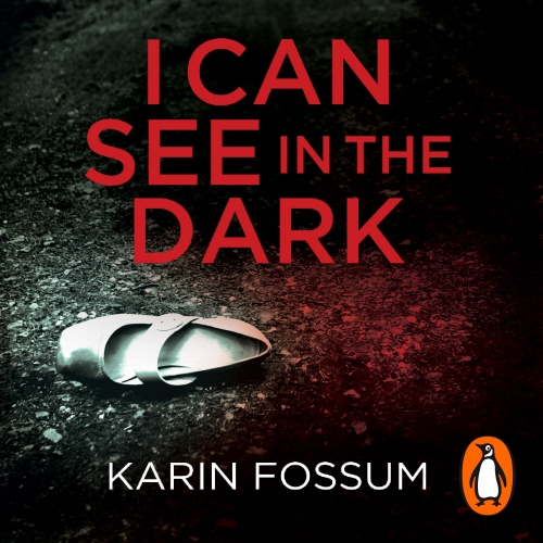 Book cover of I Can See in the Dark by Karin Fossum