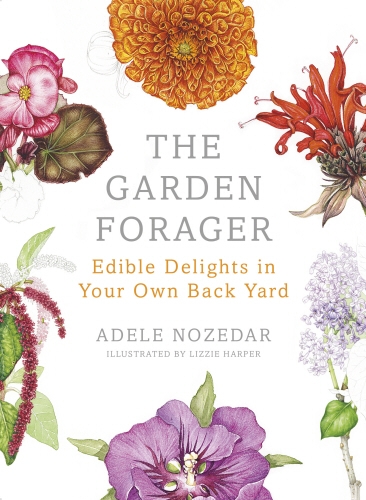 Book cover of The Garden Forager by Adele Nozedar