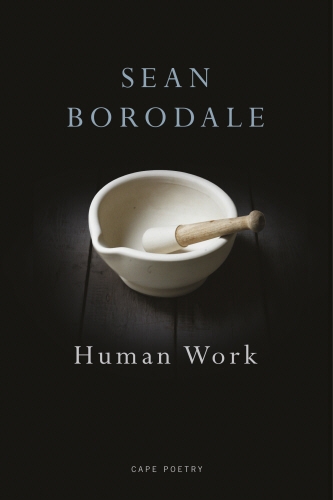 Book cover of Human Work by Sean Borodale