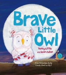 Book cover of Brave Little Owl by Penny Little