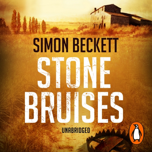 Book cover of Stone Bruises by Simon Beckett