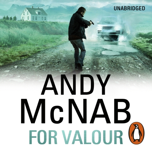 Book cover of For Valour by Andy McNab