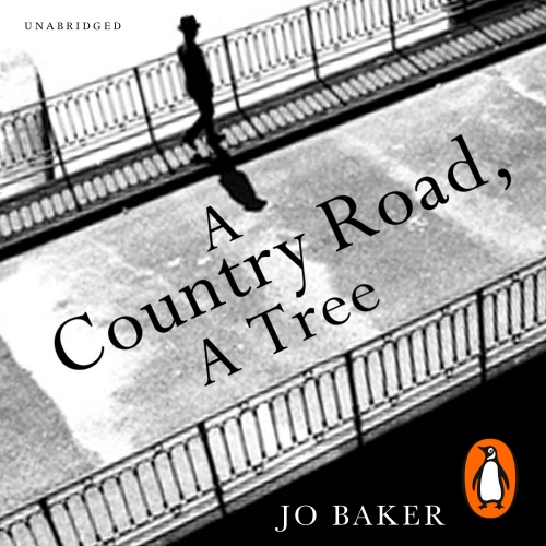 Book cover of A Country Road, A Tree by Jo Baker
