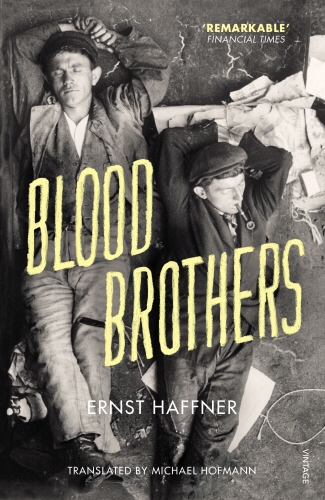 Book cover of Blood Brothers by Ernst Haffner