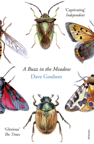 Book cover of A Buzz in the Meadow by Dave Goulson