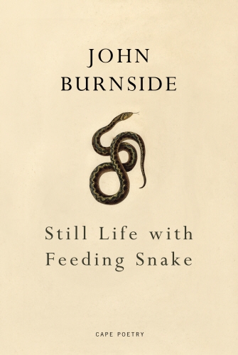 Book cover of Still Life with Feeding Snake by John Burnside